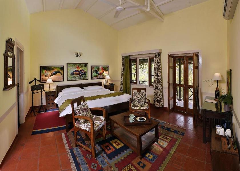 Uttarakhand Rishikesh Woodpecker