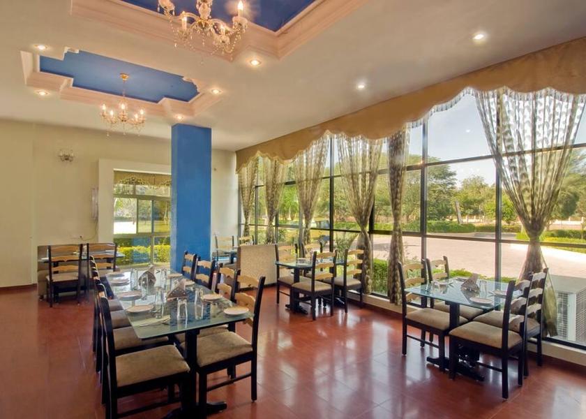 Gujarat gandhi nagar Food & Dining