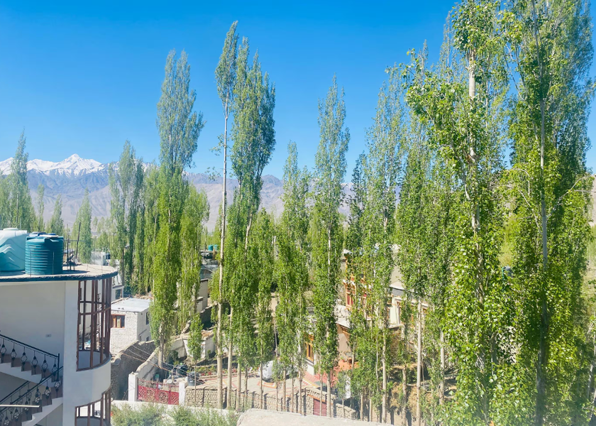 Ladakh Leh Hotel View