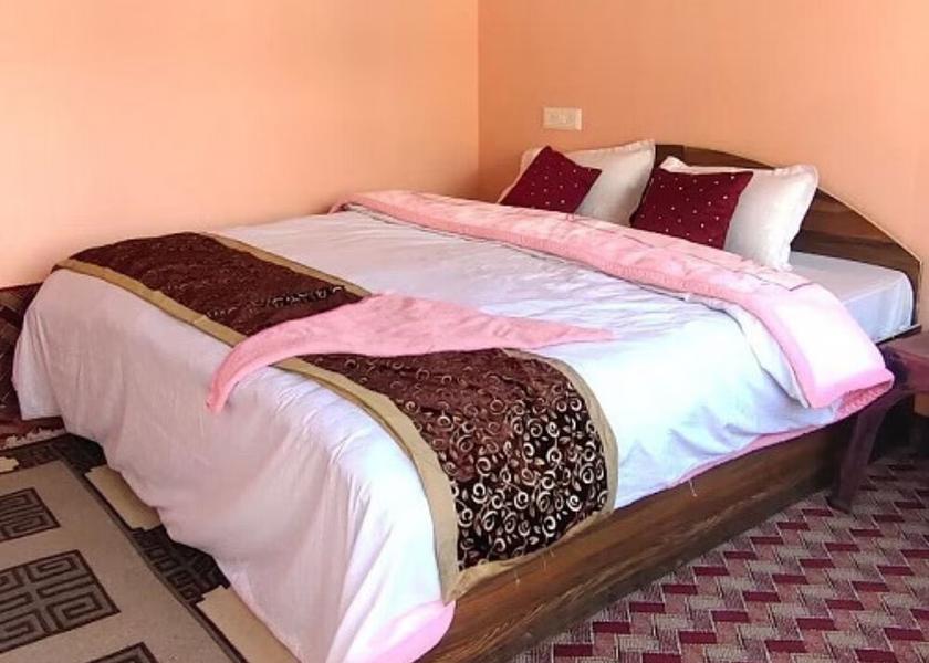 Ladakh Leh Deluxe Double Room