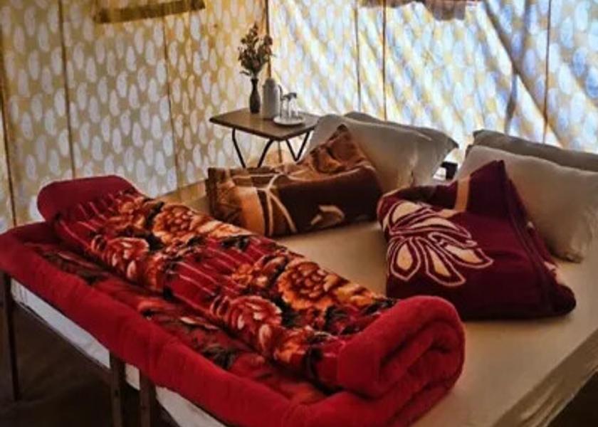 Ladakh Leh Tent