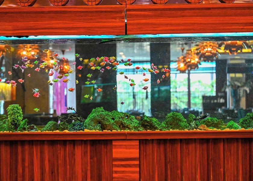 Bursa Bursa Lobby