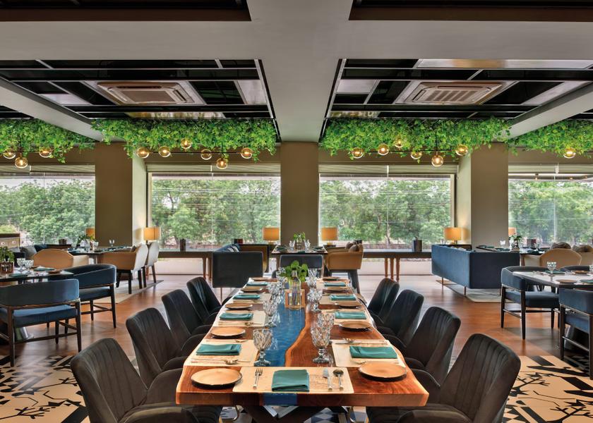 Rajasthan Jodhpur Food & Dining
