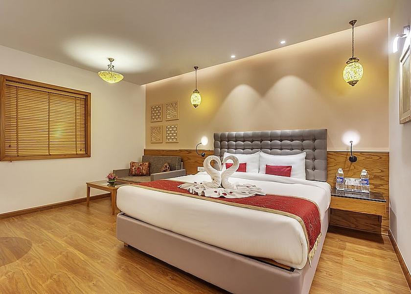 Delhi Delhi Room