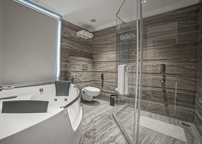 Jammu and Kashmir Srinagar Bathroom