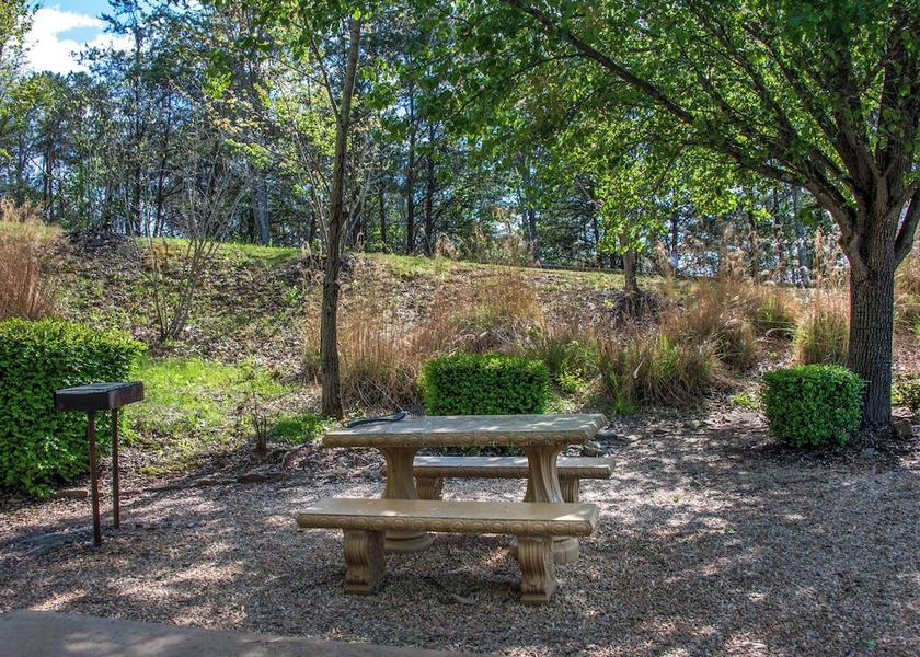 Tennessee Pigeon Forge Amenity