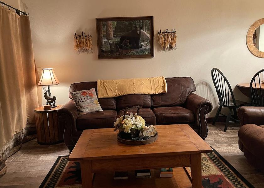 Tennessee Pigeon Forge Living Area