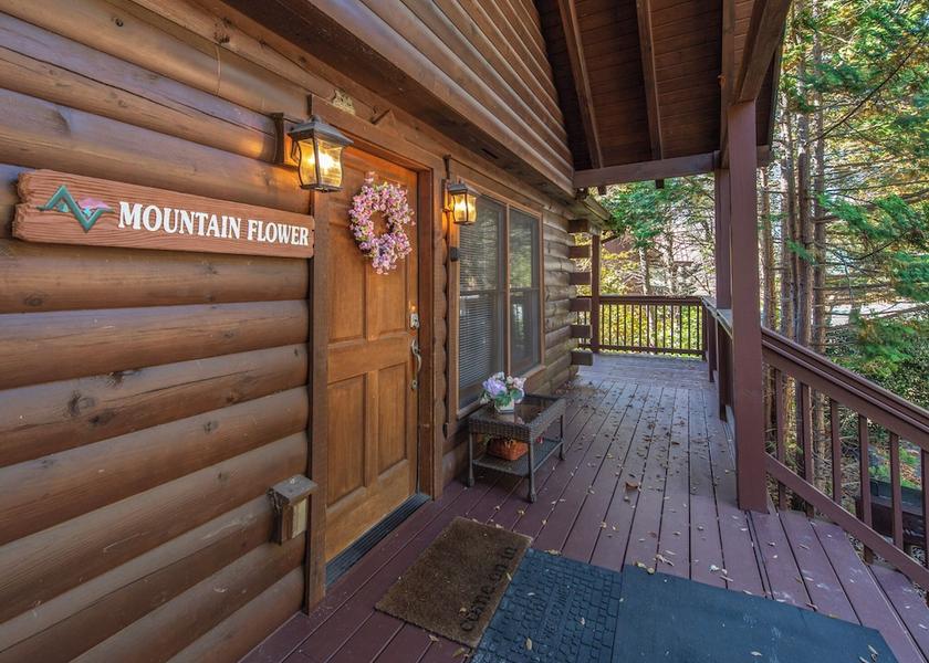 Tennessee Pigeon Forge Amenity