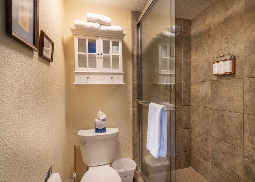 Colorado Telluride Bathroom