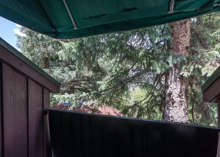 Colorado Telluride Property Grounds