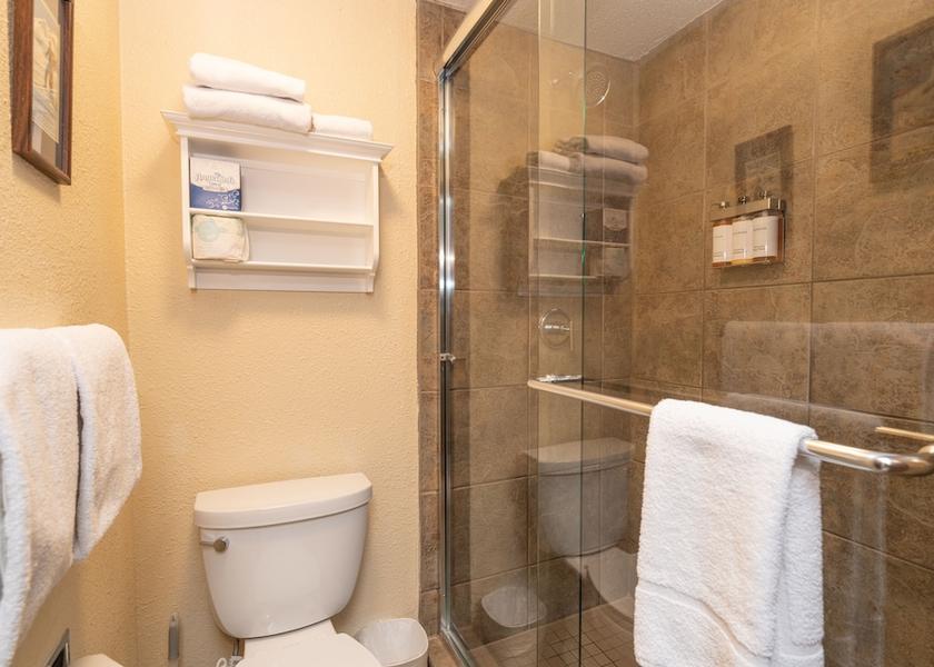 Colorado Telluride Bathroom