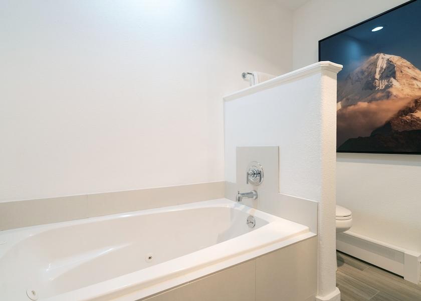 Colorado Telluride Bathroom