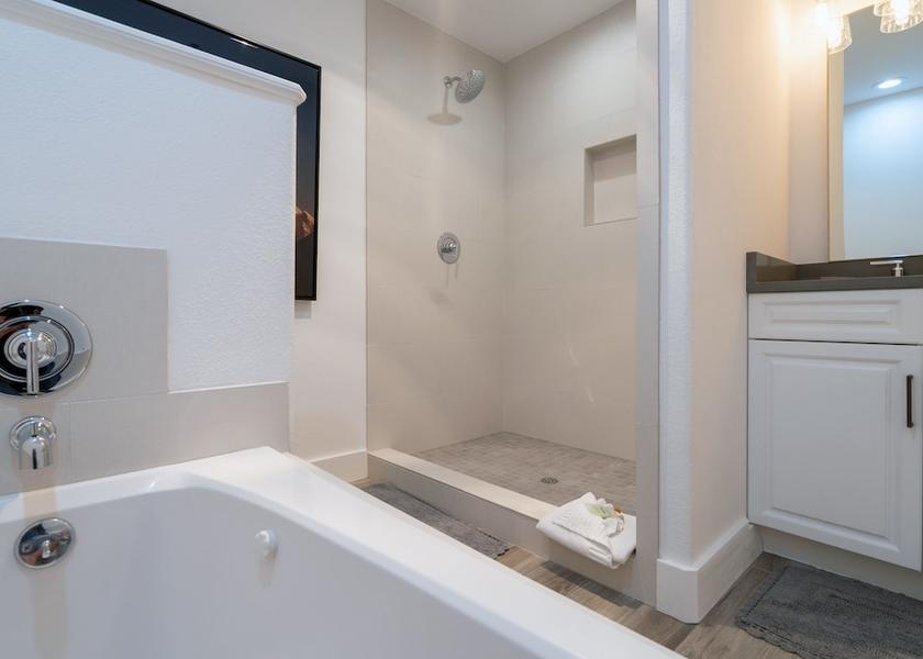 Colorado Telluride Bathroom