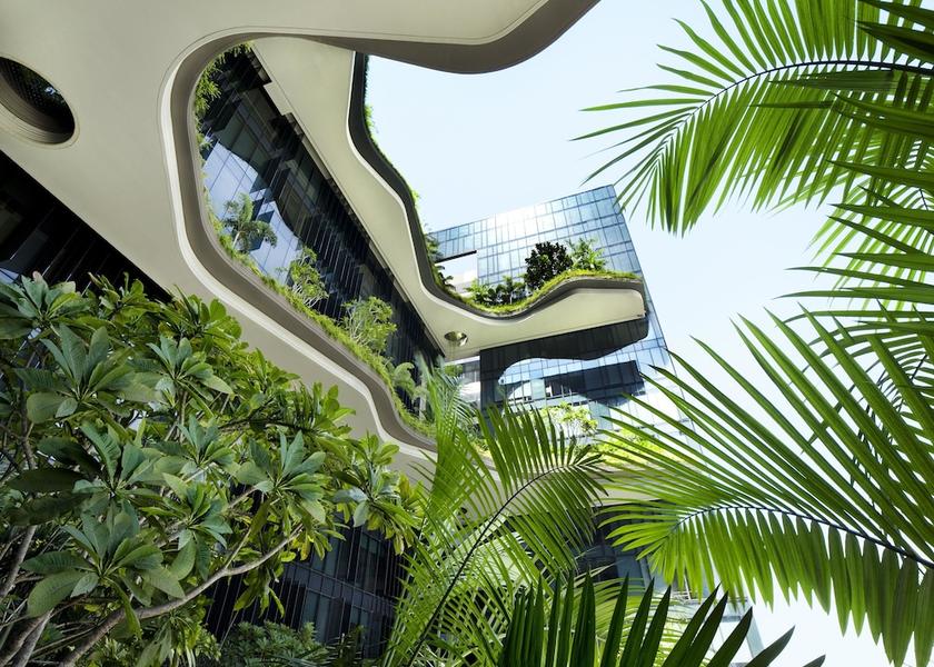  Singapore Exterior Detail