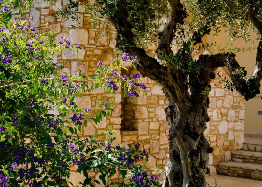 Peloponnese Region Pylos-Nestoras Room