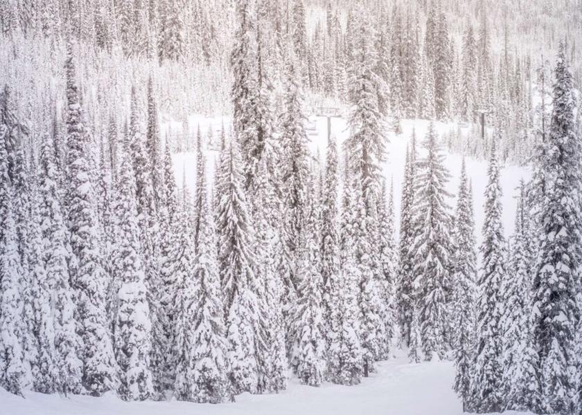 Colorado Aspen Exterior Detail