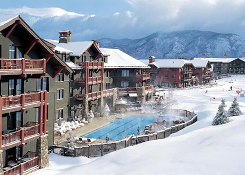 Colorado Aspen Primary image