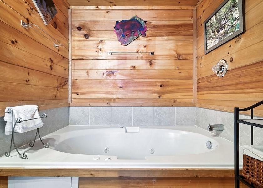 Tennessee Gatlinburg Bathroom