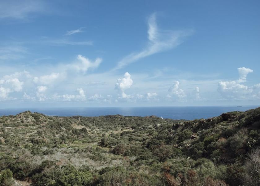 Sicily Pantelleria Property Grounds