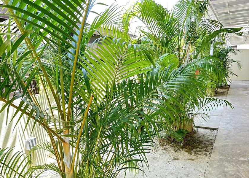 Kedah Langkawi Exterior Detail