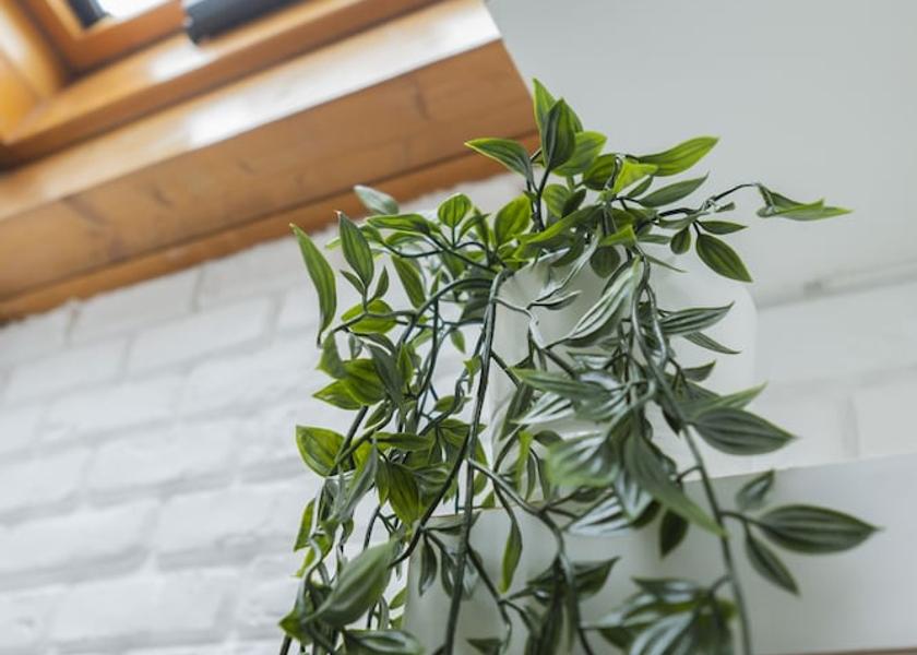 Abruzzo Pescara Bathroom