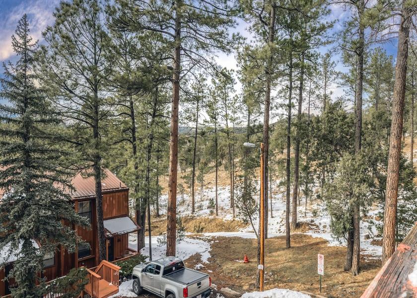 New Mexico Ruidoso Property Grounds