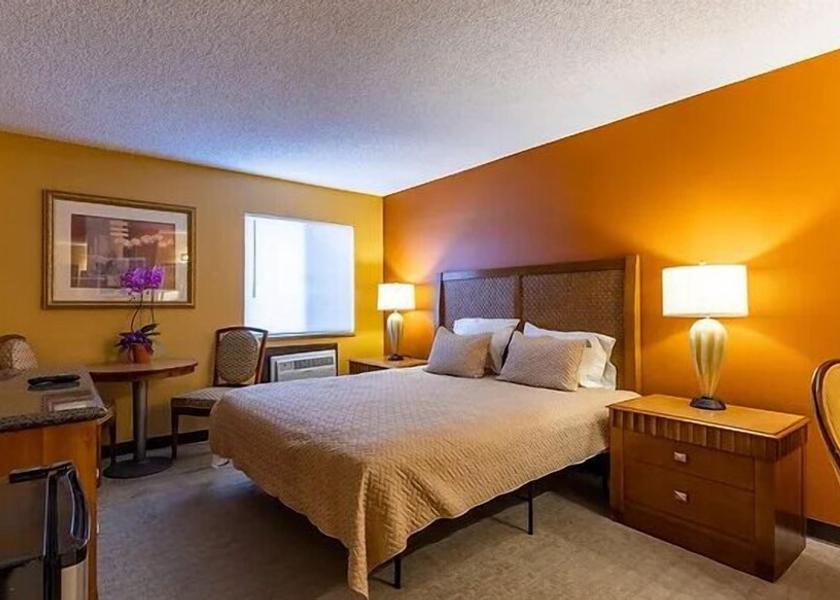 Nevada Bullhead City Room