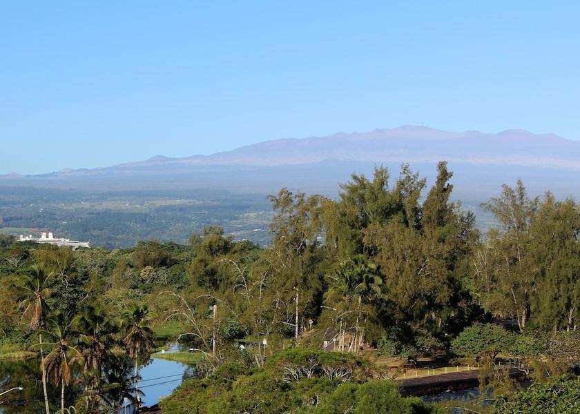 Hawaii Hilo Property Grounds