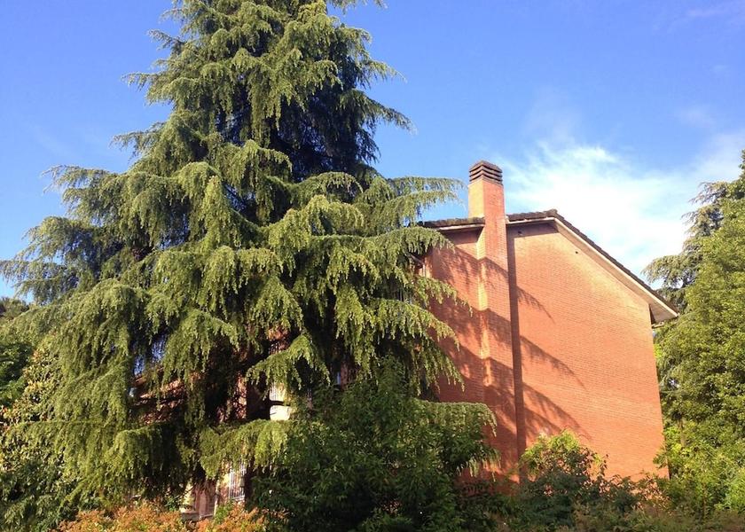 Emilia-Romagna Bologna Exterior Detail