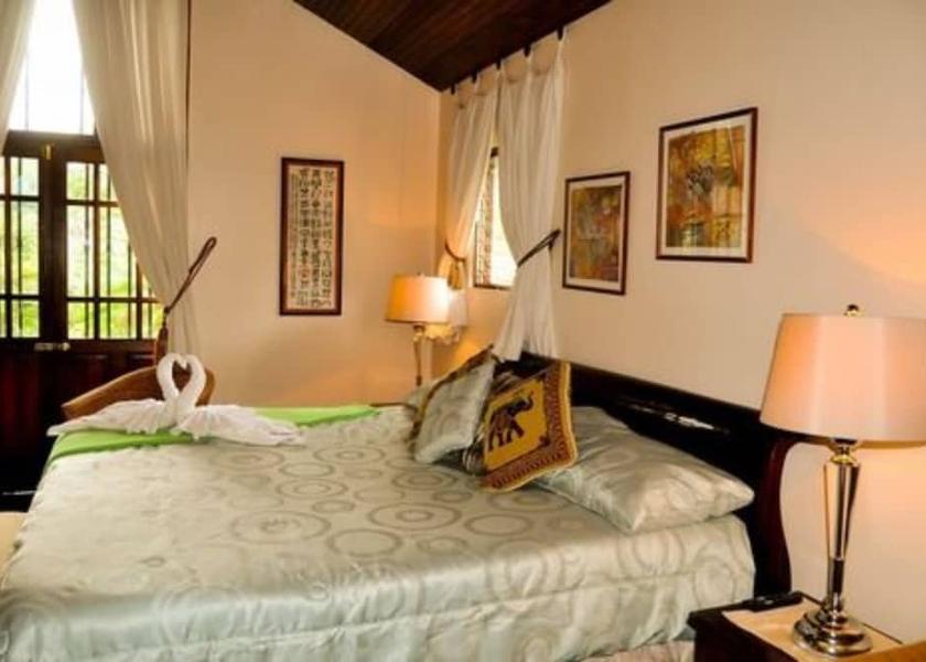 Alajuela Ciudad Cariari Room