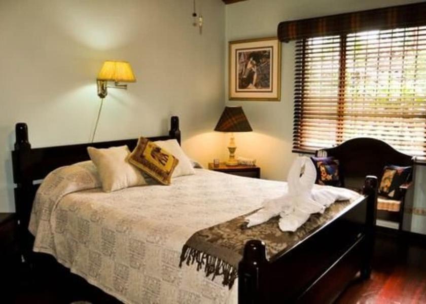 Alajuela Ciudad Cariari Room