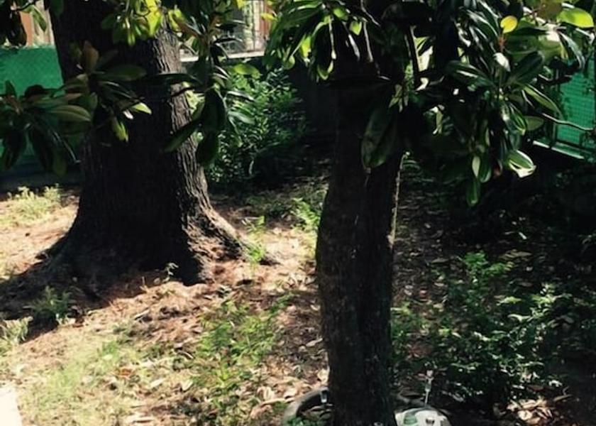 Emilia-Romagna Bologna Exterior Detail