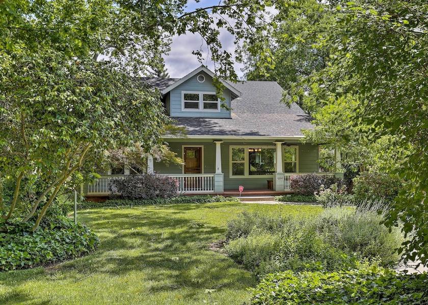 California Chico Primary image