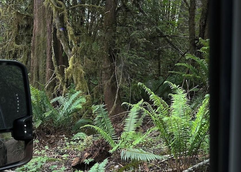 Washington Port Angeles Property Grounds