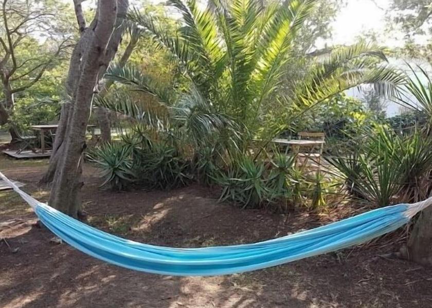 Corsica Calvi Amenity