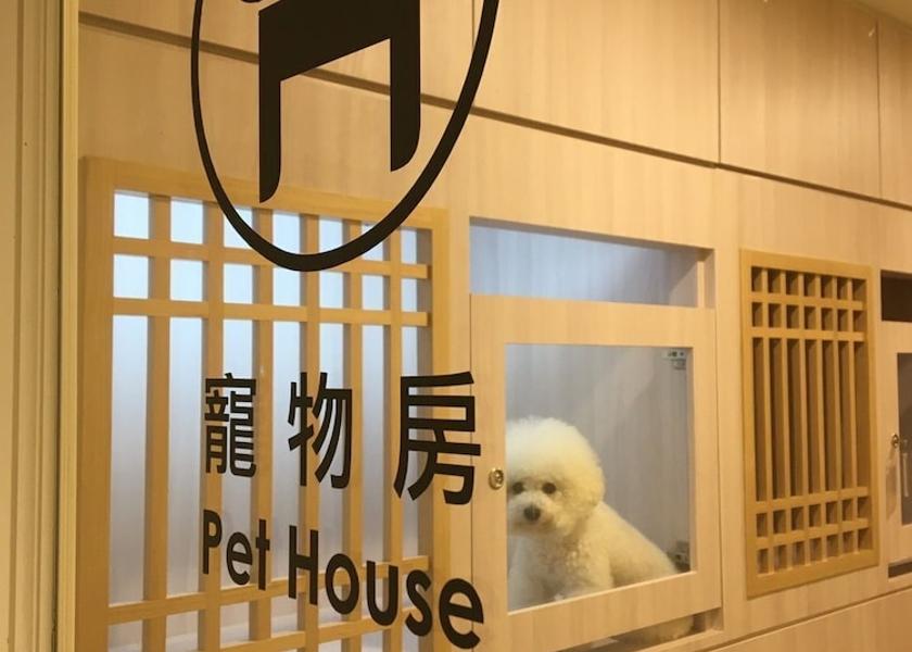 Yilan County Suao Pet-friendly