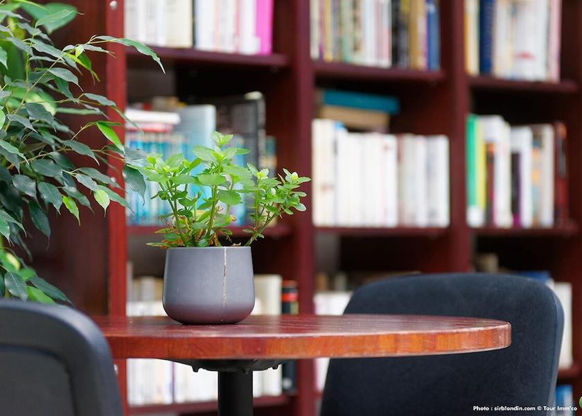 Auvergne-Rhone-Alpes Allevard Library