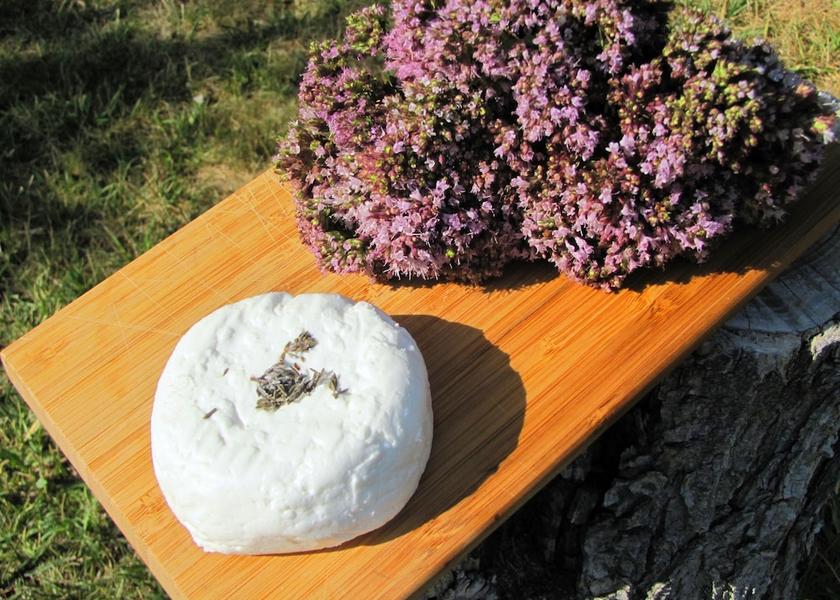 Provence - Alpes - Cote d'Azur Brignoles Exterior Detail