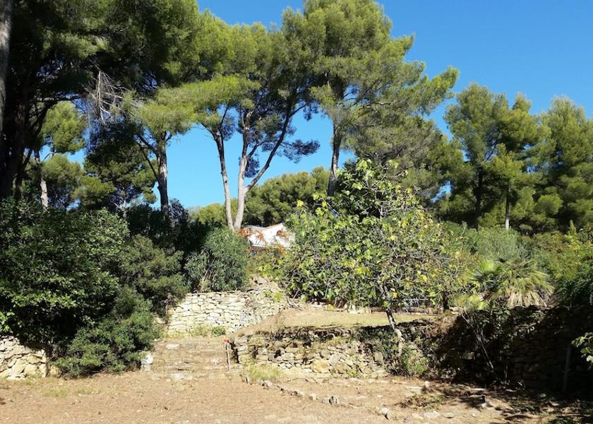 Provence - Alpes - Cote d'Azur La Ciotat Garden