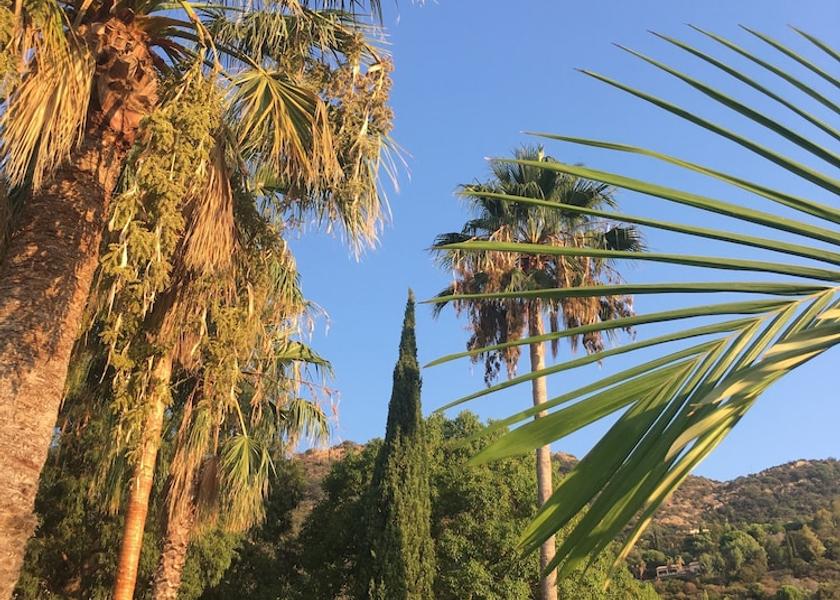 Var Le Lavandou Garden