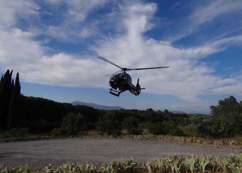 Provence - Alpes - Cote d'Azur Mougins Garden