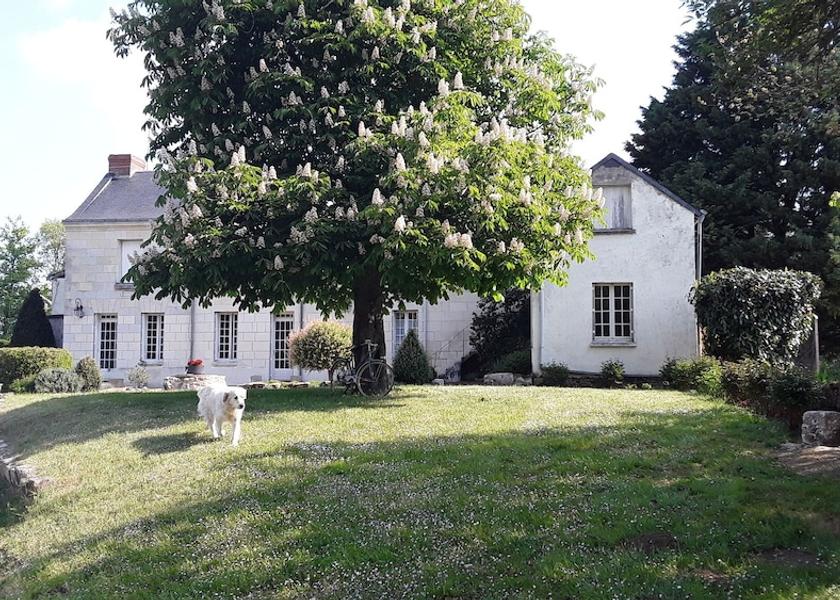 Pays de la Loire Saumur Facade