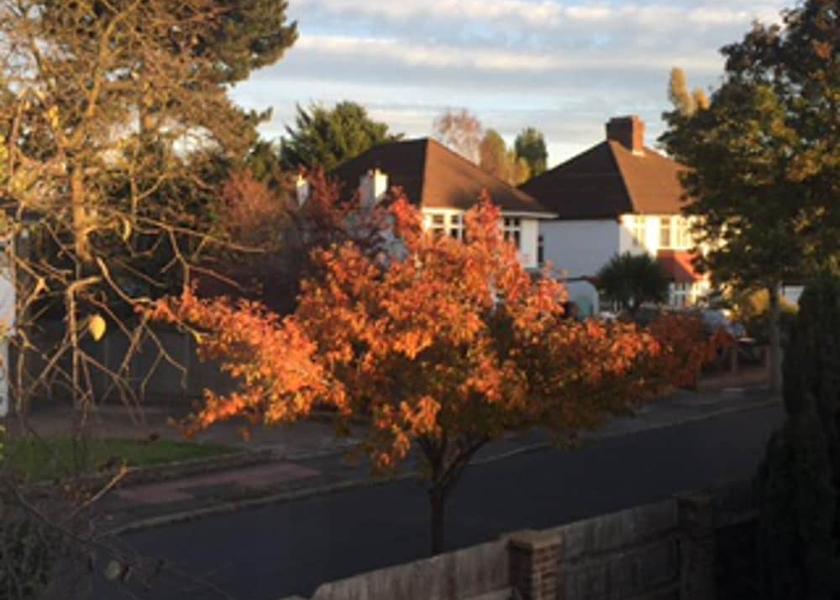 England Bromley Exterior Detail