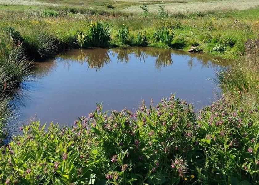 England Buxton Exterior Detail