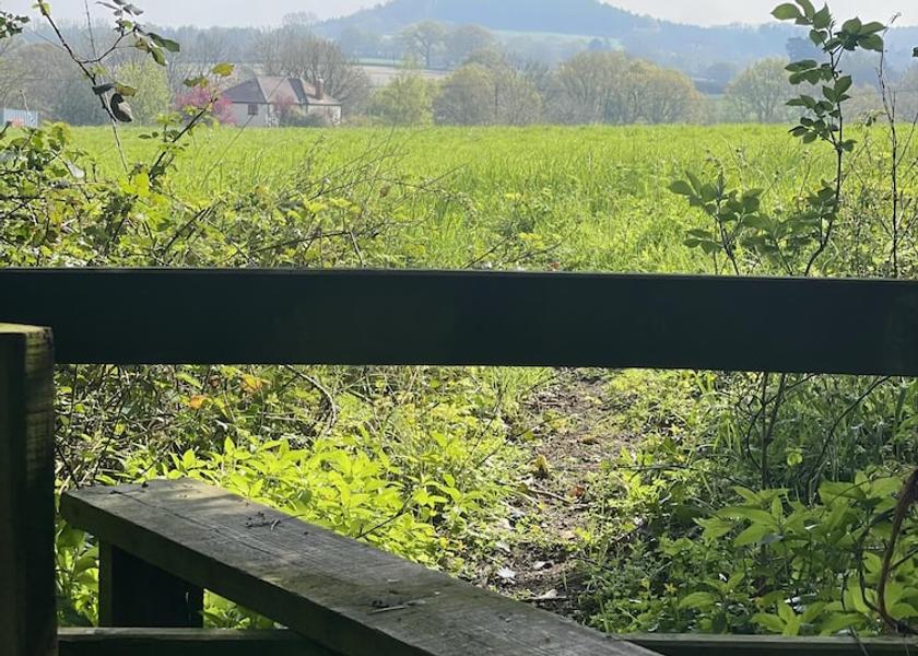 England Chard View from Property