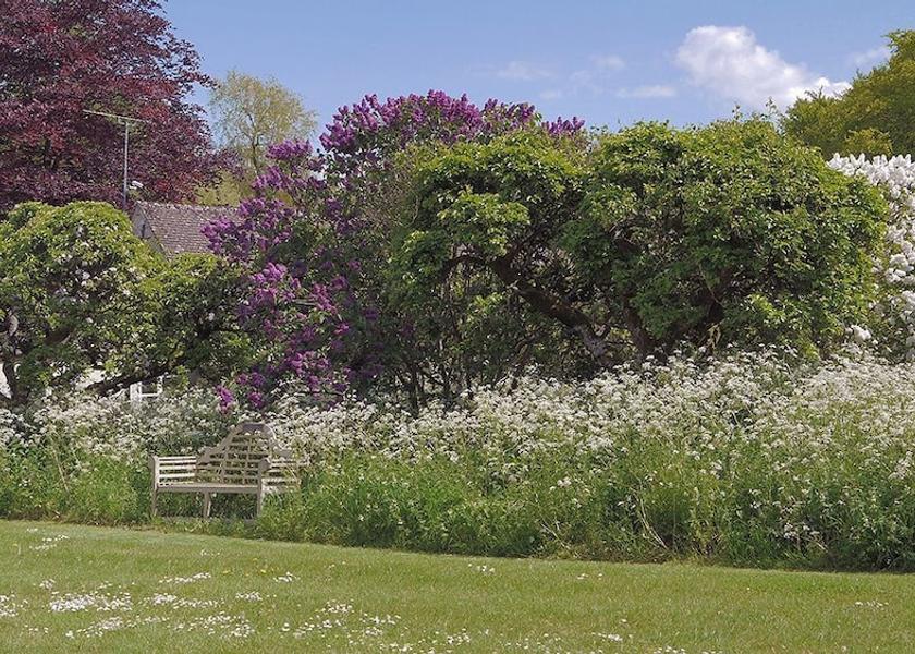 England Chipping Norton Garden