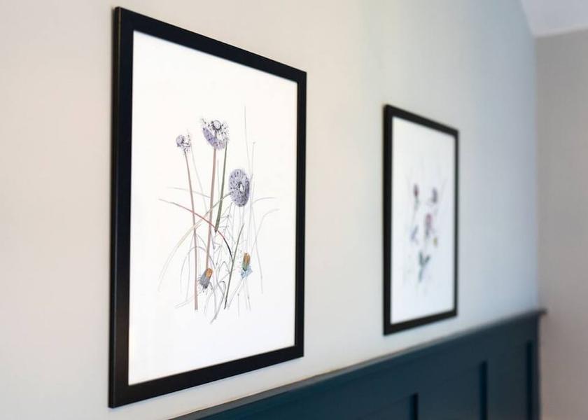 Scotland Dunfermline Room