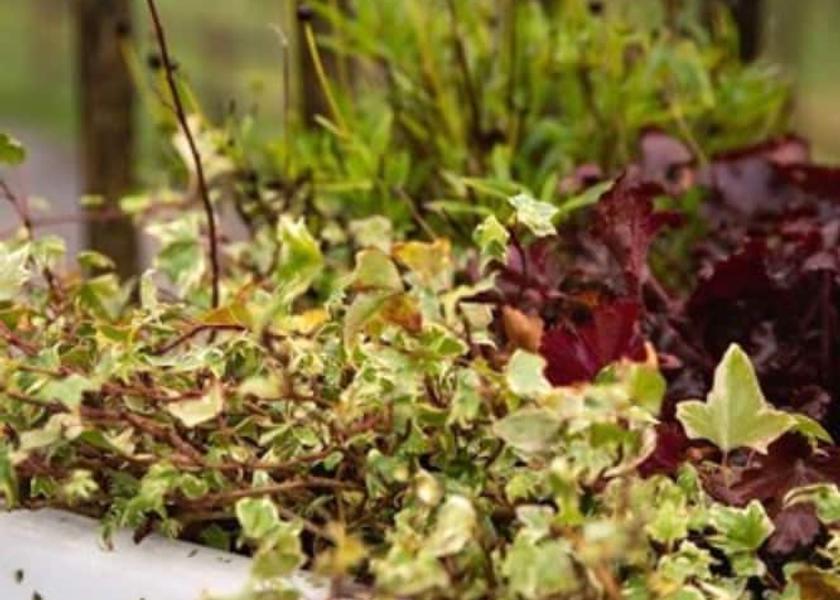 England East Grinstead View From Room