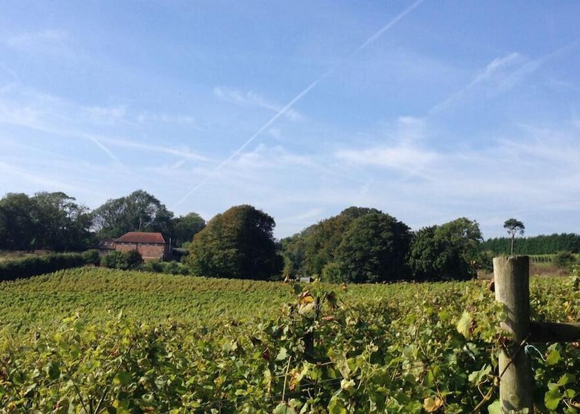 England Folkestone View from Property