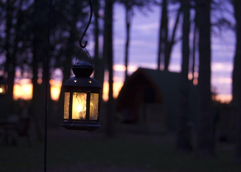 England Hythe Garden